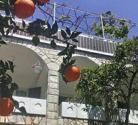 House Orange Apartments ヘルツェグ・ノヴィ エクステリア 写真