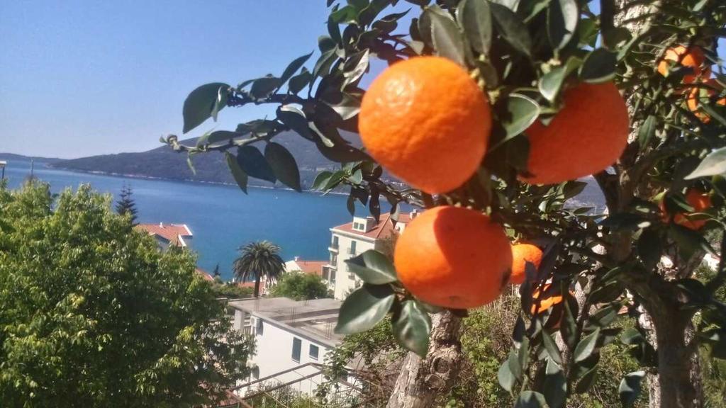 House Orange Apartments ヘルツェグ・ノヴィ エクステリア 写真