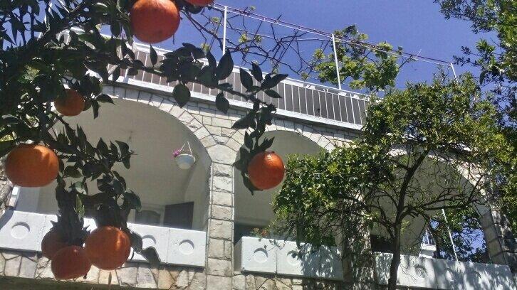 House Orange Apartments ヘルツェグ・ノヴィ エクステリア 写真